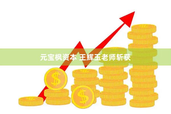 元宝枫资本 王辉玉老师斩获