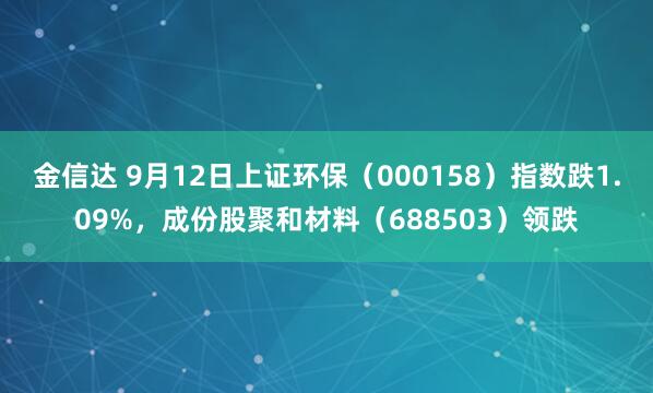 金信达 9月12日上证环保（000158）指数跌1.09%，成份股聚和材料（688503）领跌