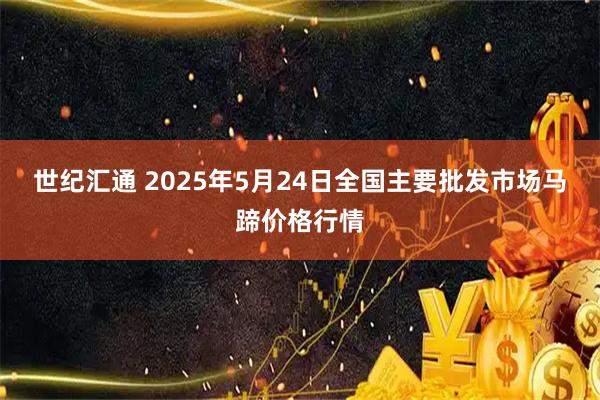 世纪汇通 2025年5月24日全国主要批发市场马蹄价格行情