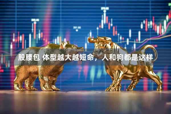 股腰包 体型越大越短命，人和狗都是这样