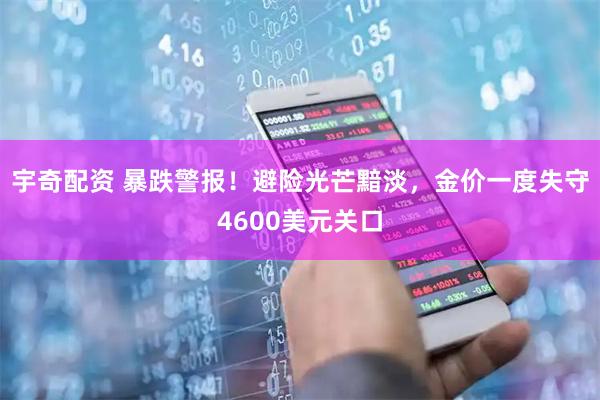宇奇配资 暴跌警报！避险光芒黯淡，金价一度失守4600美元关口