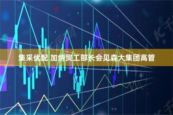 集采优配 加纳贸工部长会见森大集团高管